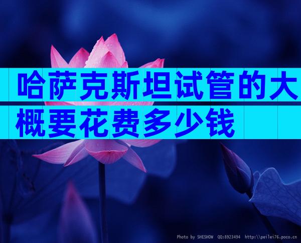 哈萨克斯坦试管的大概要花费多少钱