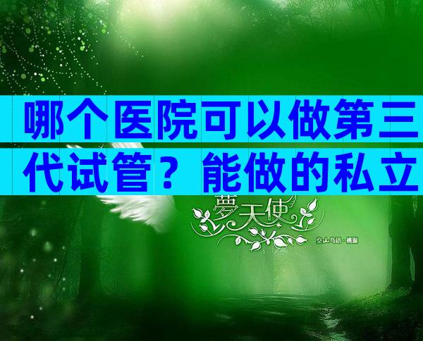 哪个医院可以做第三代试管？能做的私立or公立医院在这里