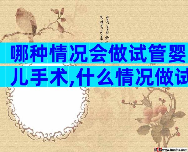 哪种情况会做试管婴儿手术,什么情况做试管婴儿成功率高