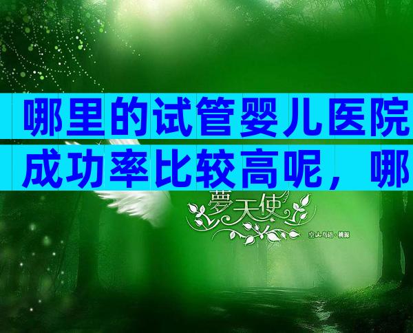哪里的试管婴儿医院成功率比较高呢，哪里的试管婴儿医院成功率比较高呢