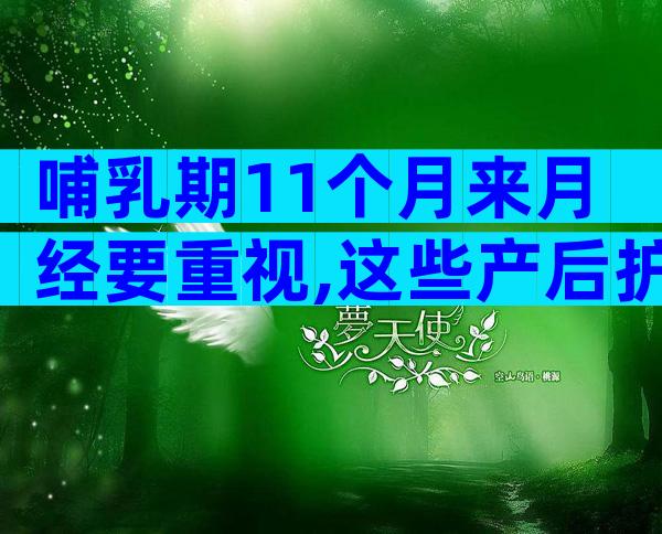 哺乳期11个月来月经要重视,这些产后护理知识妈妈们要清楚