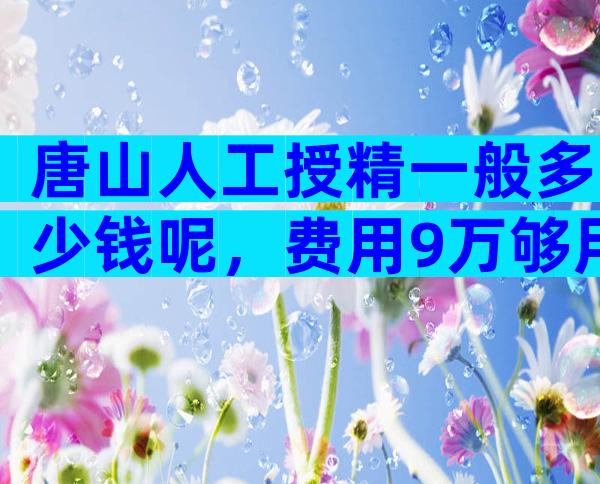 唐山人工授精一般多少钱呢，费用9万够用吗？