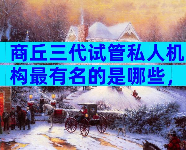 商丘三代试管私人机构最有名的是哪些，商丘做试管比较好的医院是哪家