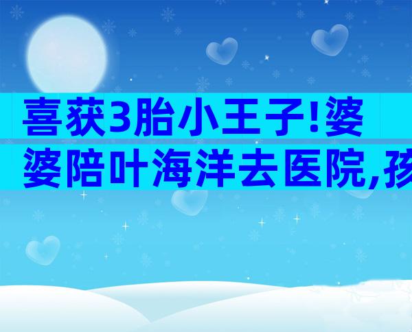 喜获3胎小王子!婆婆陪叶海洋去医院,孩子生父的身份曝光很优秀