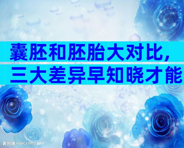 囊胚和胚胎大对比,三大差异早知晓才能早选择