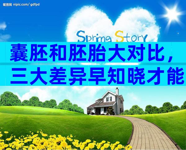 囊胚和胚胎大对比，三大差异早知晓才能早选择