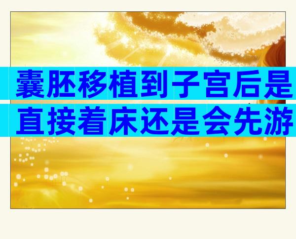 囊胚移植到子宫后是直接着床还是会先游离1-2天？