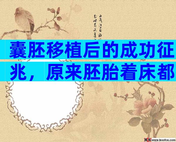 囊胚移植后的成功征兆，原来胚胎着床都有迹可循