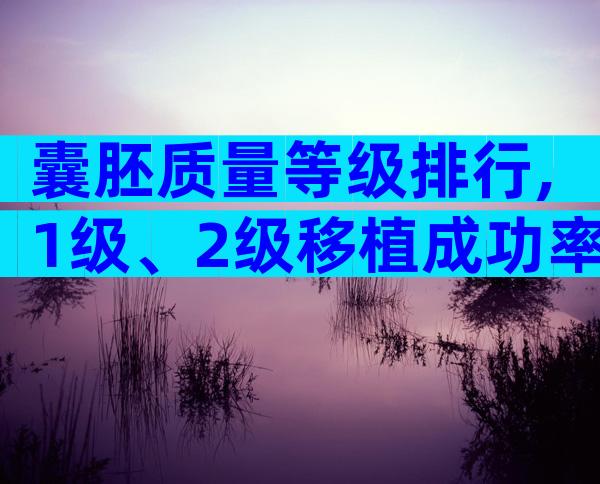 囊胚质量等级排行,1级、2级移植成功率不一样