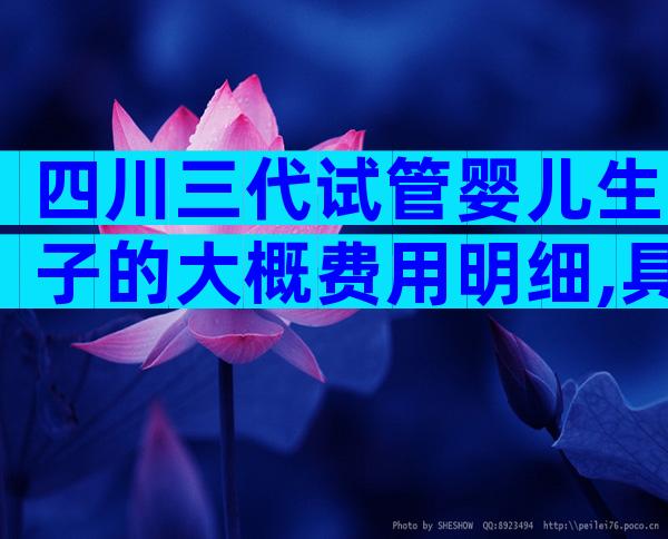 四川三代试管婴儿生子的大概费用明细,具体来说说