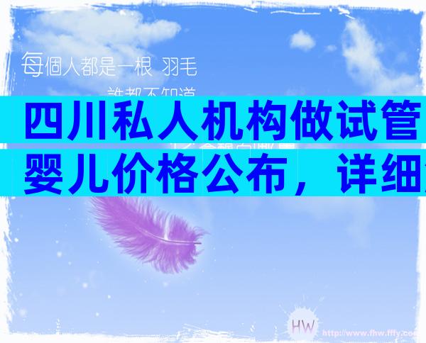 四川私人机构做试管婴儿价格公布，详细解析费用问题！