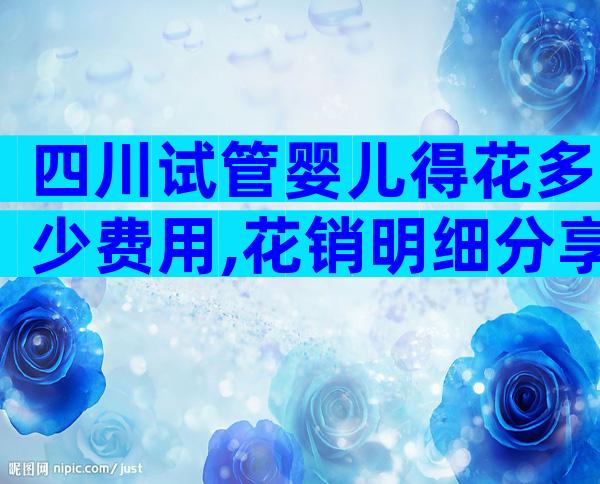 四川试管婴儿得花多少费用,花销明细分享