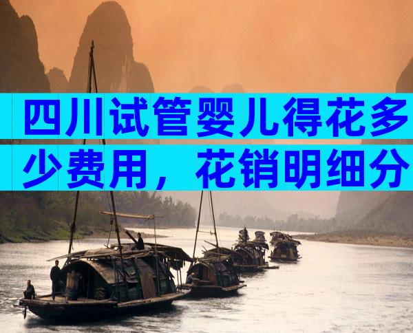 四川试管婴儿得花多少费用，花销明细分享