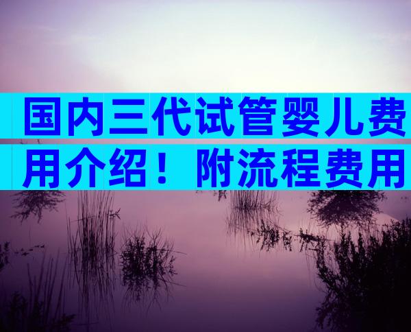 国内三代试管婴儿费用介绍！附流程费用详情？