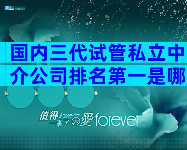 国内三代试管私立中介公司排名第一是哪家