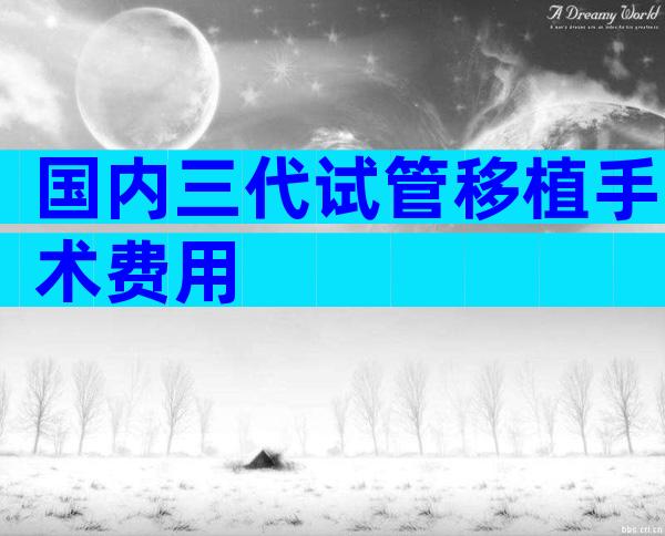 国内三代试管移植手术费用