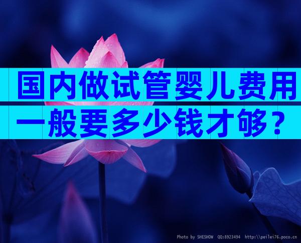 国内做试管婴儿费用一般要多少钱才够？