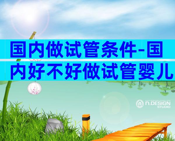 国内做试管条件-国内好不好做试管婴儿呢？