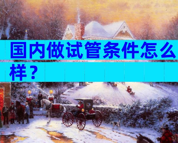 国内做试管条件怎么样？