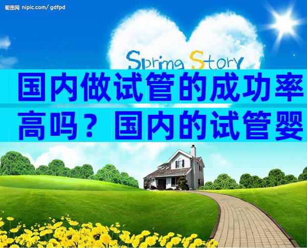 国内做试管的成功率高吗？国内的试管婴儿技术成熟吗？