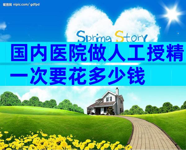 国内医院做人工授精一次要花多少钱