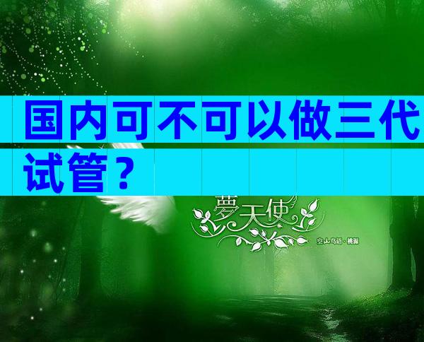 国内可不可以做三代试管？