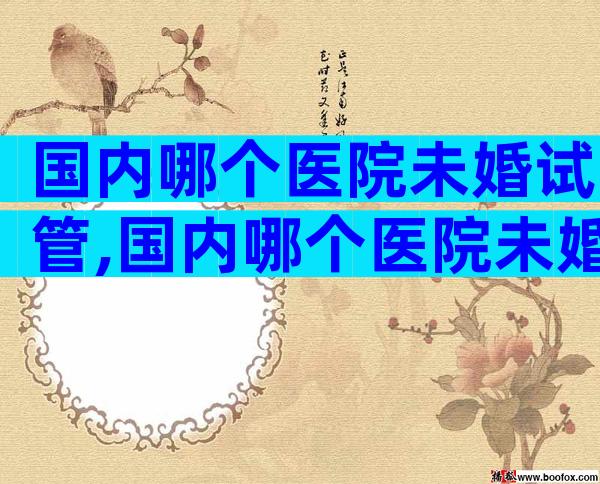 国内哪个医院未婚试管,国内哪个医院未婚试管成功率高