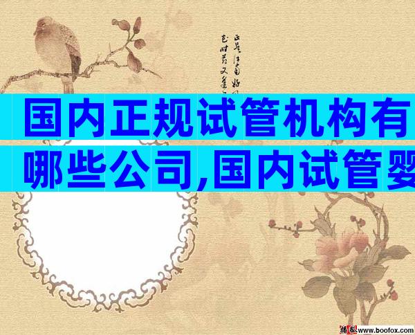 国内正规试管机构有哪些公司,国内试管婴儿排名前十