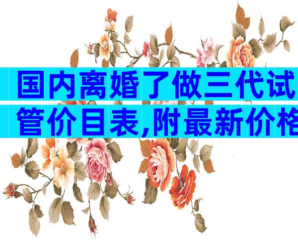 国内离婚了做三代试管价目表,附最新价格明细一览