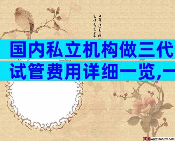 国内私立机构做三代试管费用详细一览,一文了解所有流程费用