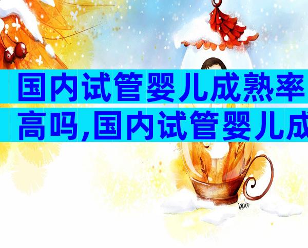 国内试管婴儿成熟率高吗,国内试管婴儿成功率高吗
