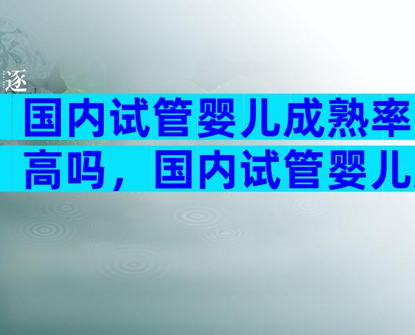 国内试管婴儿成熟率高吗，国内试管婴儿成功率高吗