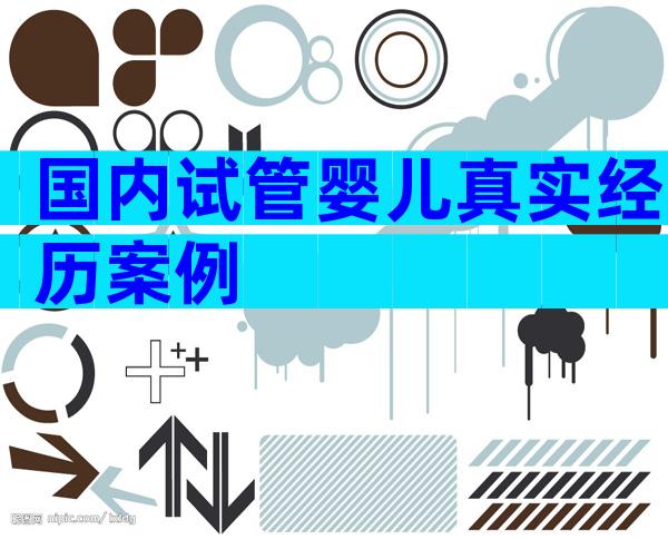 国内试管婴儿真实经历案例