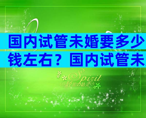国内试管未婚要多少钱左右？国内试管未婚要多少钱左右呢？