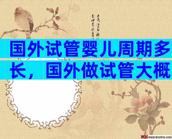 国外试管婴儿周期多长，国外做试管大概多少钱