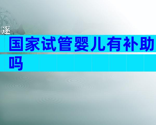 国家试管婴儿有补助吗