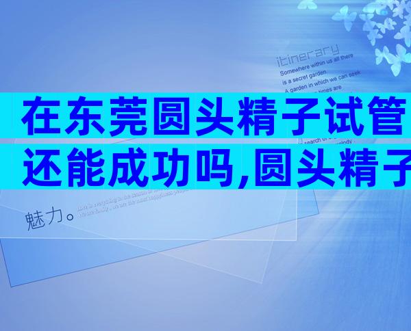 在东莞圆头精子试管还能成功吗,圆头精子症做试管的成功率及方法介绍