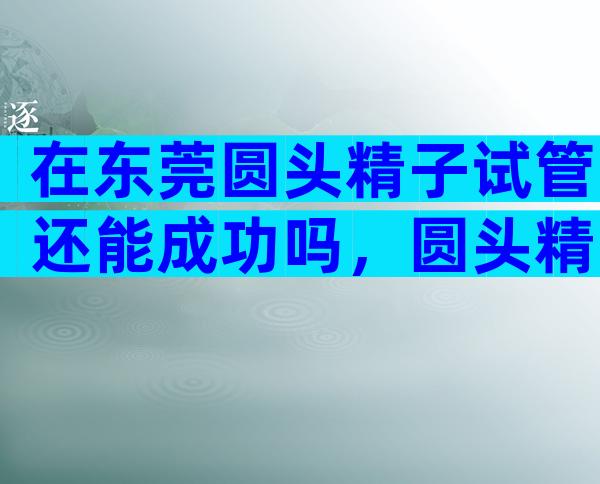 在东莞圆头精子试管还能成功吗，圆头精子症做试管的成功率及方法介绍