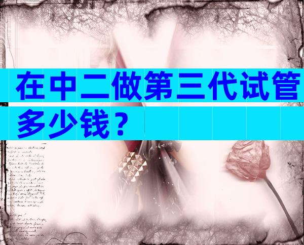 在中二做第三代试管多少钱？