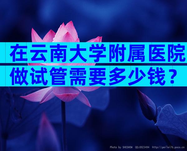 在云南大学附属医院做试管需要多少钱？