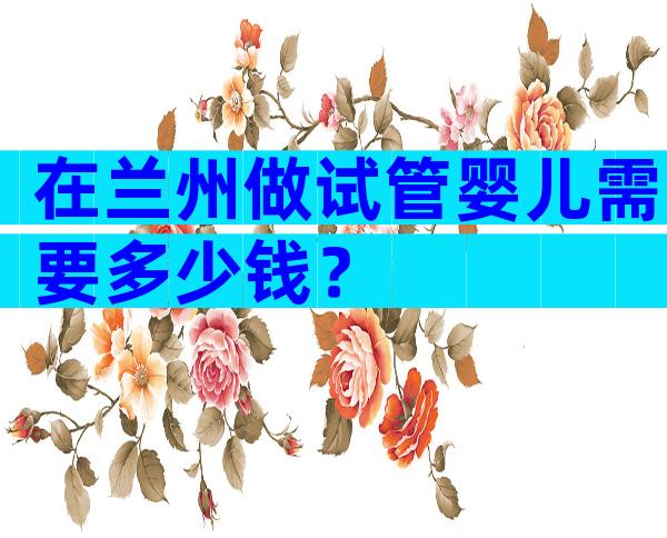 在兰州做试管婴儿需要多少钱？