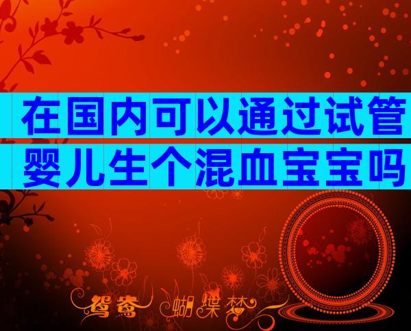在国内可以通过试管婴儿生个混血宝宝吗？需要有什么条件