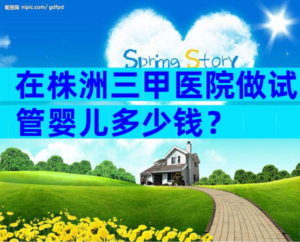 在株洲三甲医院做试管婴儿多少钱？