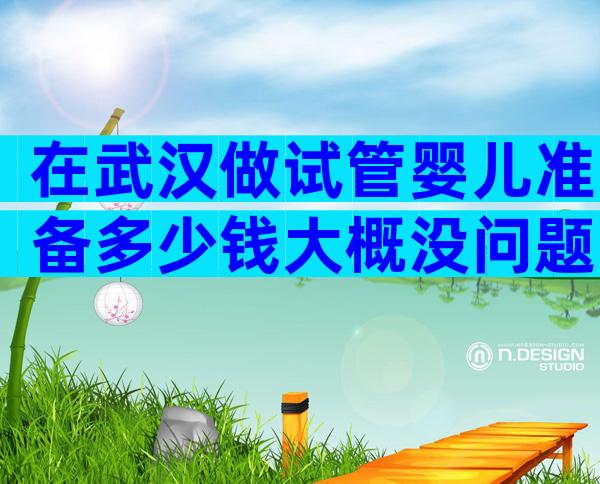 在武汉做试管婴儿准备多少钱大概没问题？