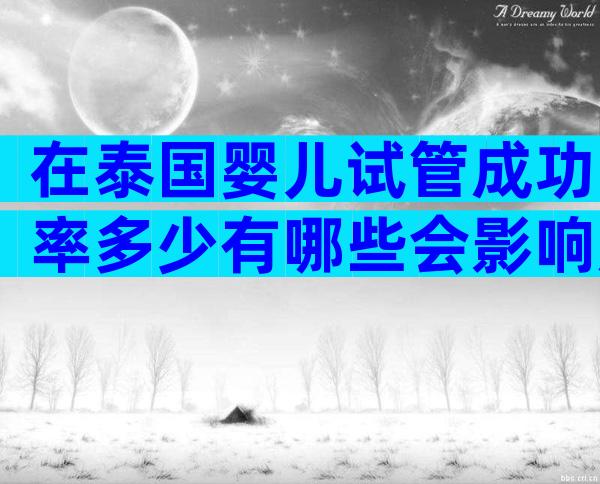 在泰国婴儿试管成功率多少有哪些会影响成功率