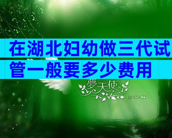 在湖北妇幼做三代试管一般要多少费用