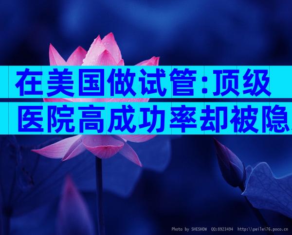 在美国做试管:顶级医院高成功率却被隐藏的费用雷区,我是如何避坑拿下宝宝