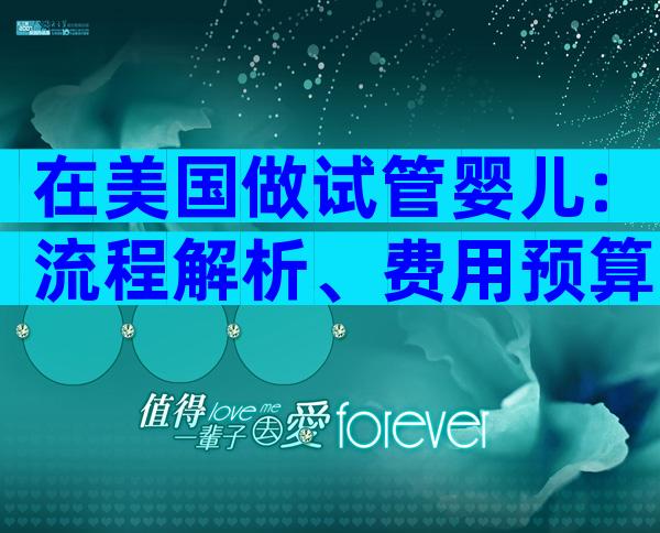 在美国做试管婴儿:流程解析、费用预算与注意事项
