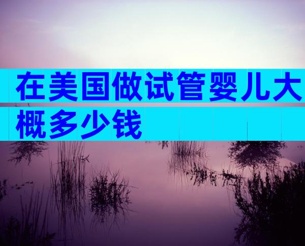 在美国做试管婴儿大概多少钱