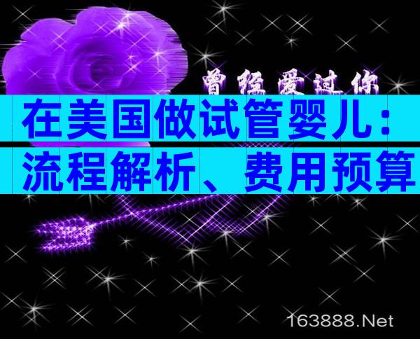 在美国做试管婴儿：流程解析、费用预算与注意事项